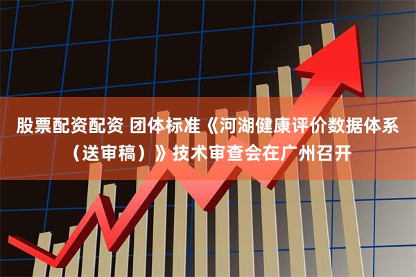 股票配资配资 团体标准《河湖健康评价数据体系（送审稿）》技术审查会在广州召开